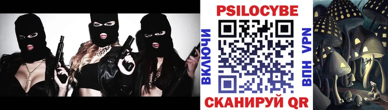 где купить наркоту  Ипатово  Псилоцибиновые грибы прущие грибы 